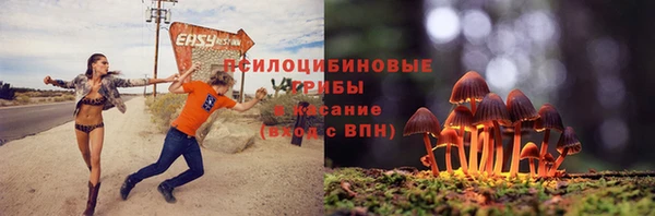 стафф Белоозёрский