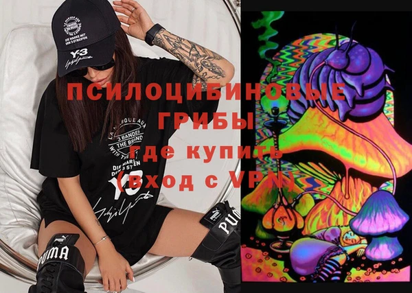 2c-b Белокуриха