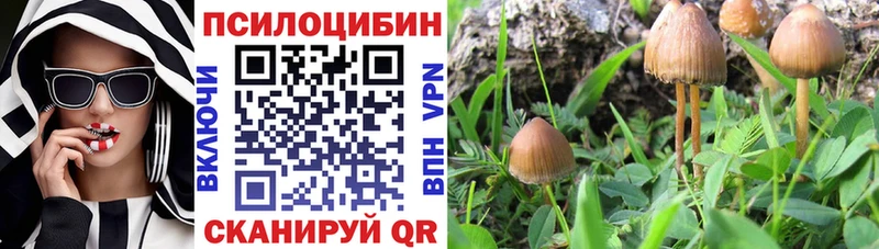 купить наркотик  Югорск  Галлюциногенные грибы Psilocybine cubensis 
